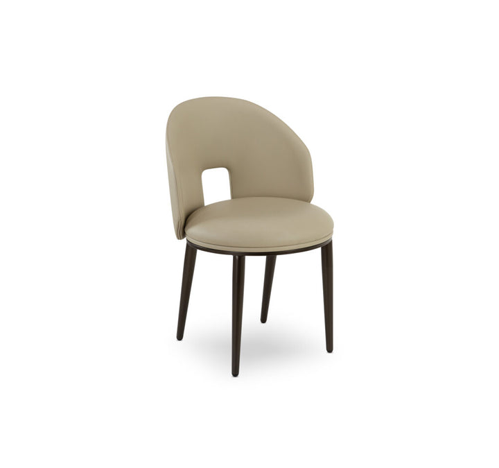 Clay Dining Chair Dining Chairs Elite Modern