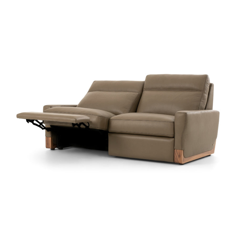 Breckenridge Motion Sofa Sleeper Sofas American Leather