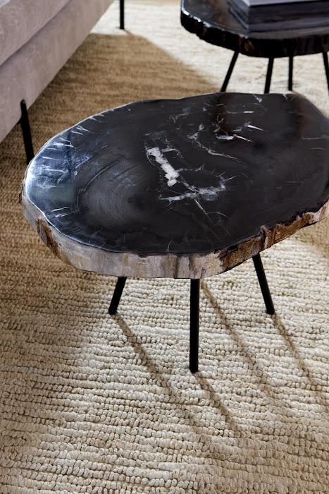 Petrified Wood Coffee Table 24" Coffee Tables Phillips Collection