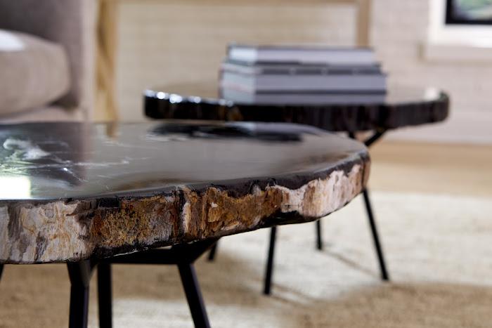 Petrified Wood Coffee Table 24" Coffee Tables Phillips Collection