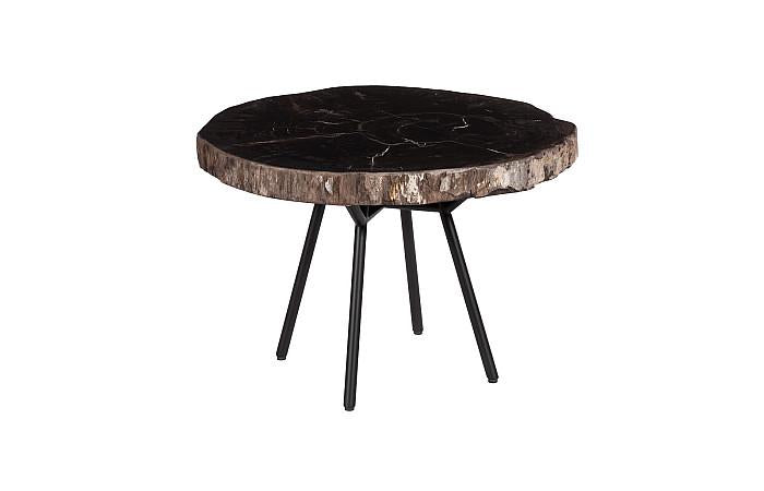 Petrified Wood Coffee Table 24" Coffee Tables Phillips Collection