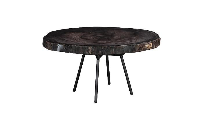 Petrified Wood Coffee Table 30" Coffee Tables Phillips Collection