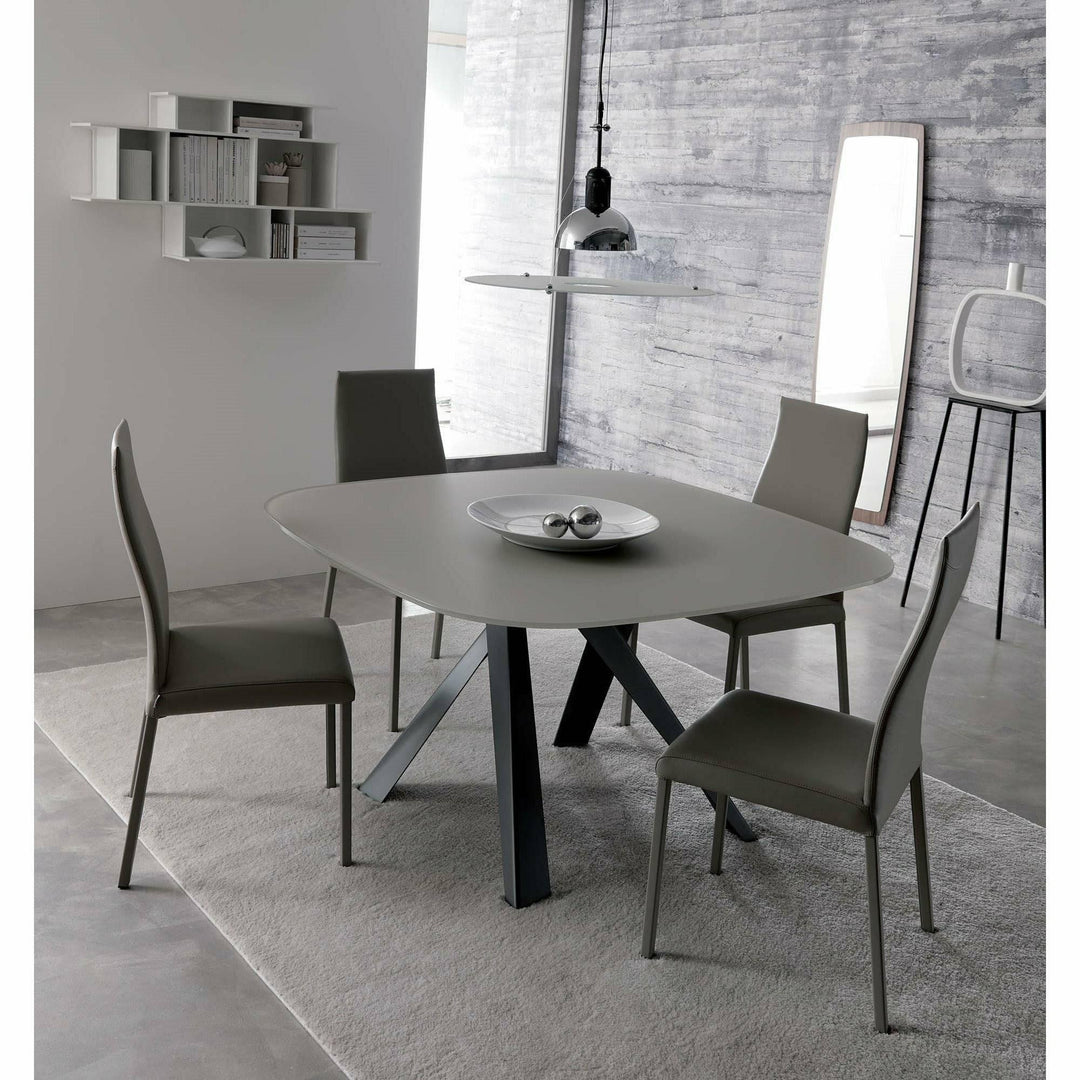 Blitz Dining Chair Dining Chairs Ozzio Italia